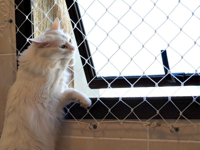 onde comprar redes de proteção em São Paulo onde comprar redes de proteção em São Paulo