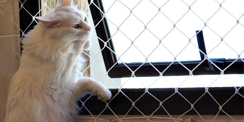 onde comprar redes de proteção em São Paulo onde comprar redes de proteção em São Paulo