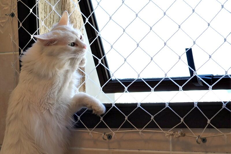 onde comprar redes de proteção em São Paulo