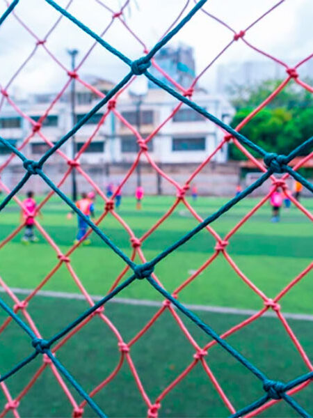 Rede de Proteção para Escolas Rede de Proteção para Escolas