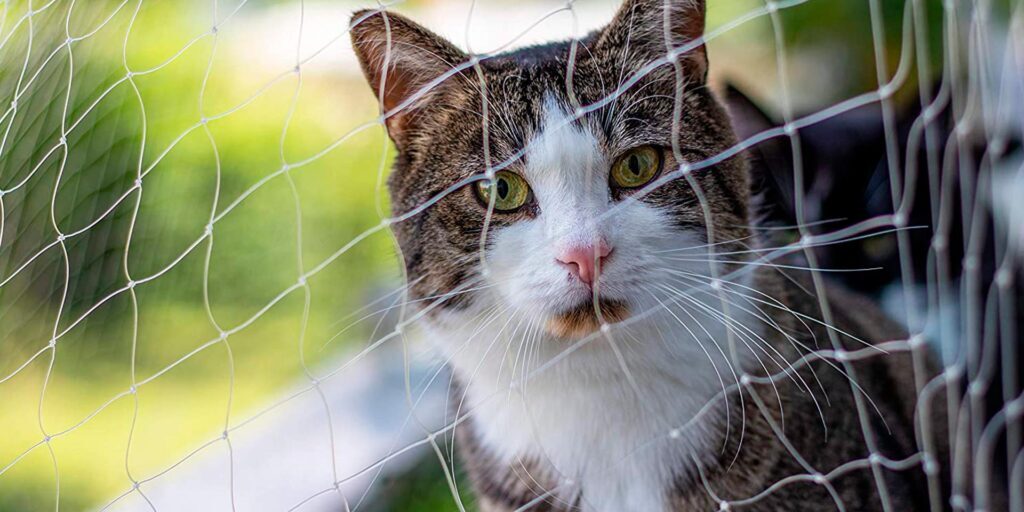 Rede de proteção para gatos Rede de Proteção para Gatos