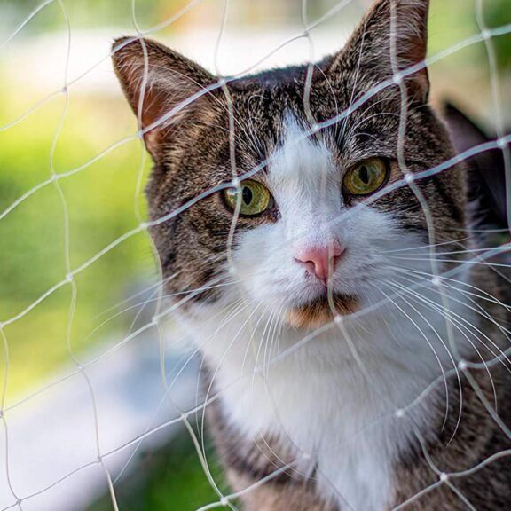 Rede de Proteção para Gatos