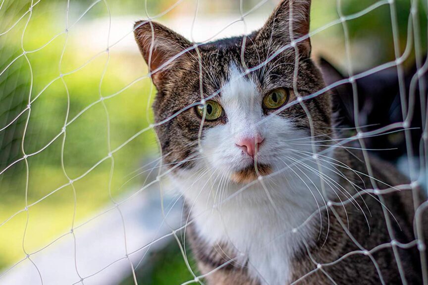 Rede de Proteção para Gatos