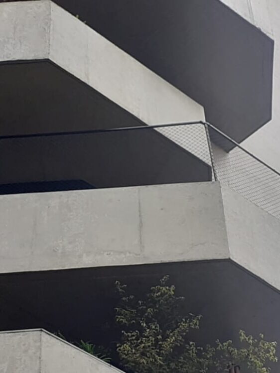 Rede de Proteção para Gatos e Animais Rede de Proteção para Gatos e Animais