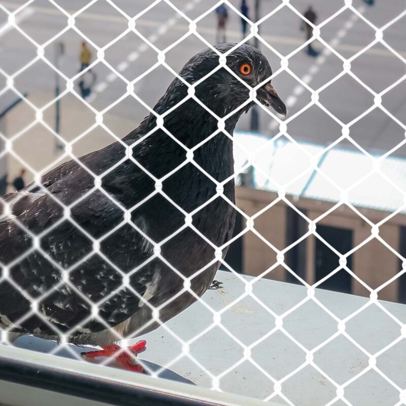 Redes de Proteção Contra Pombos