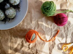 Os 10 melhores brinquedos caseiros para gatos