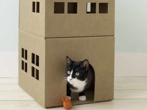 Os 10 melhores brinquedos caseiros para gatos