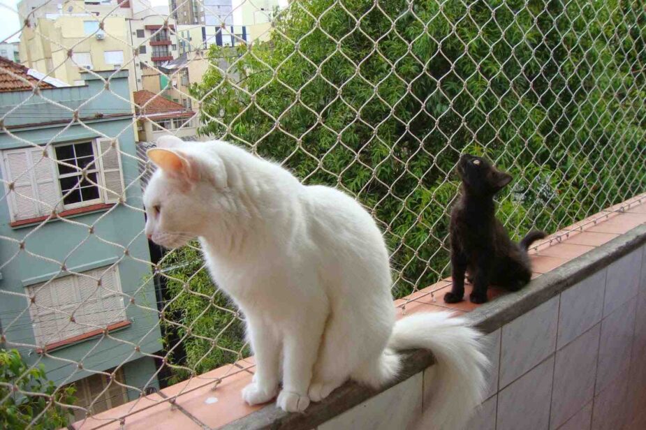rede de proteção para gatos preço