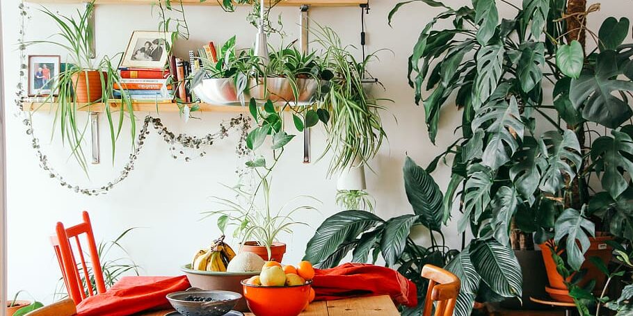 interior-table-plant-fruit apartamento com planta