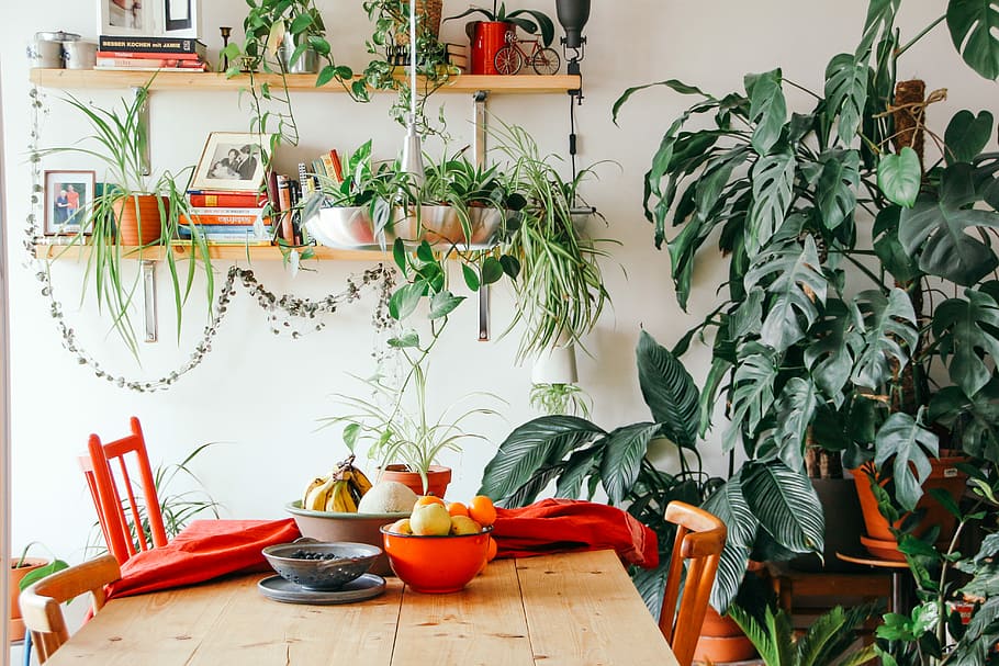 apartamento com planta
