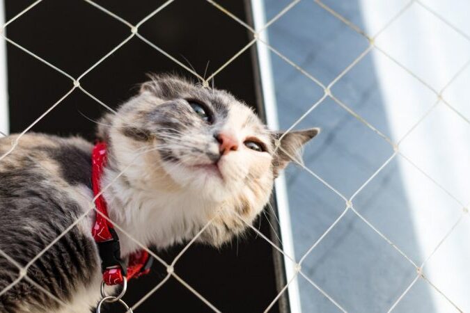 Durabilidade da rede de proteção