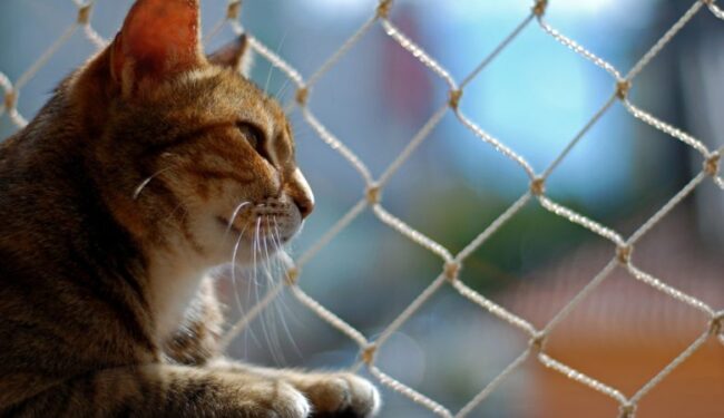 instalação de redes de proteção