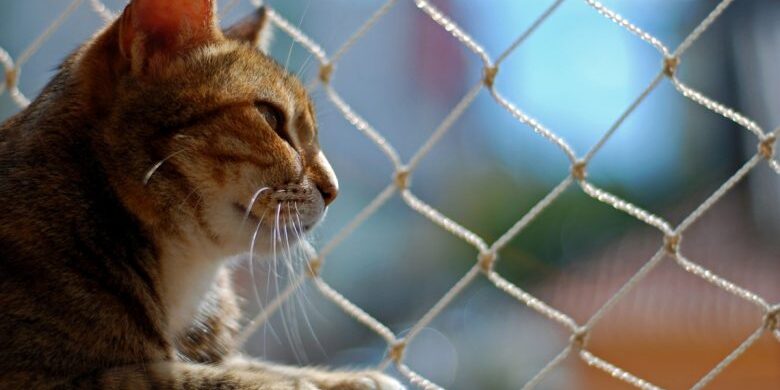 instalação de redes de proteção