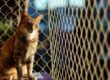 rede de proteção para gato preço