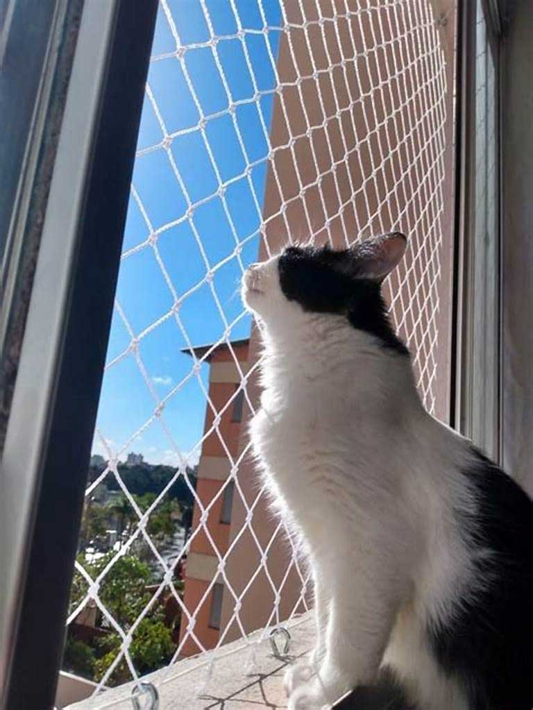 Telas de proteção para gatos: como evitar fugas e manter seu pet seguro