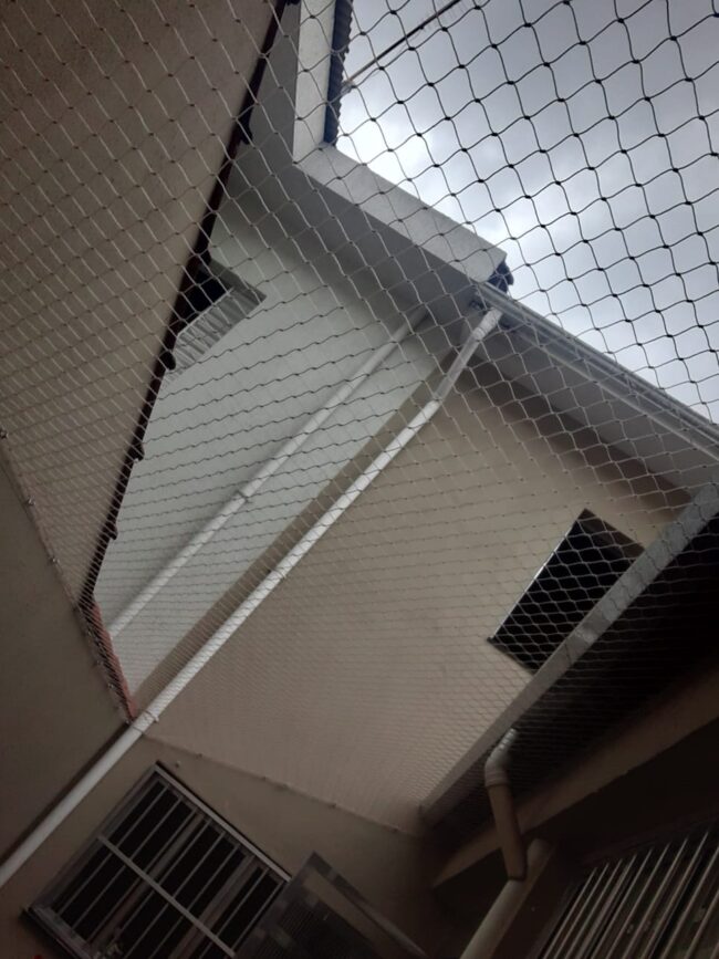 Rede de proteção para gatos em muro