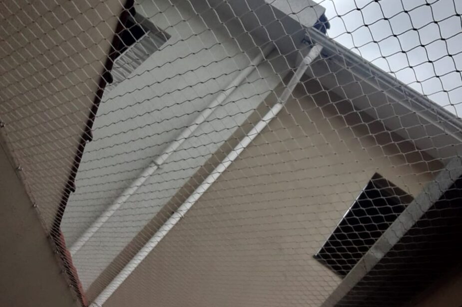 Rede de proteção para gatos em muro