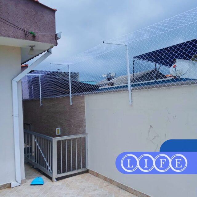 O que fazer no muro para o gato não fugir?