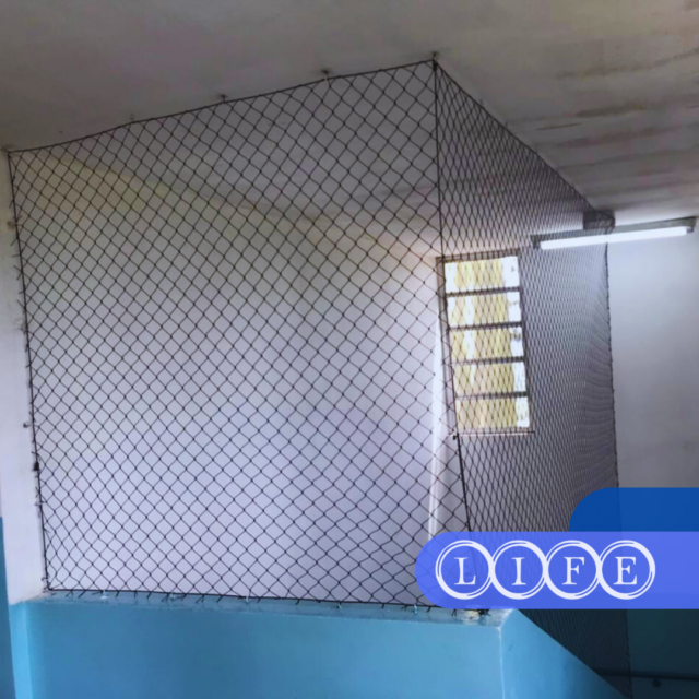 Rede de Proteção em São Miguel