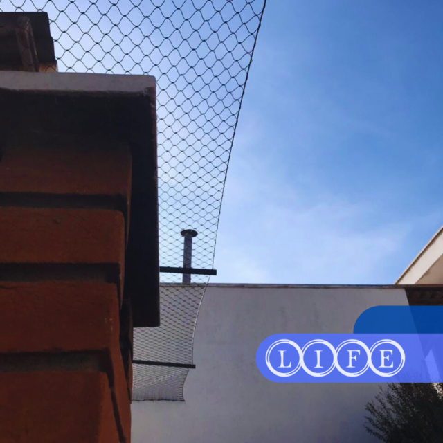 rede de proteção em Ibirapuera