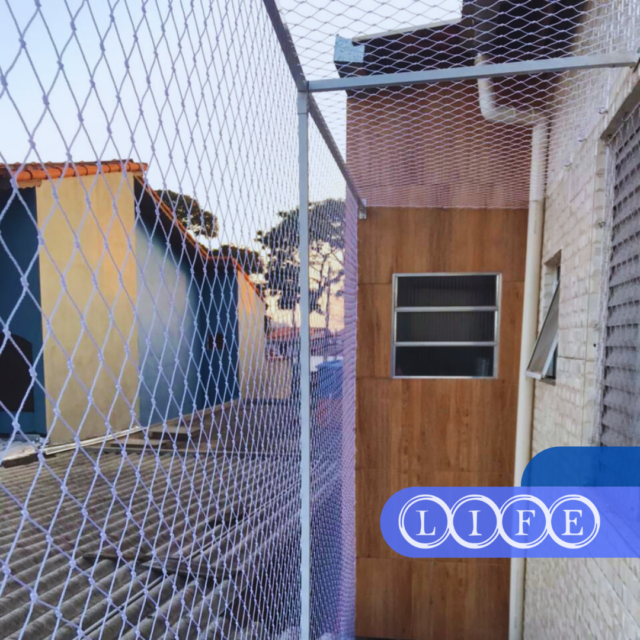 Rede de Proteção em São Miguel