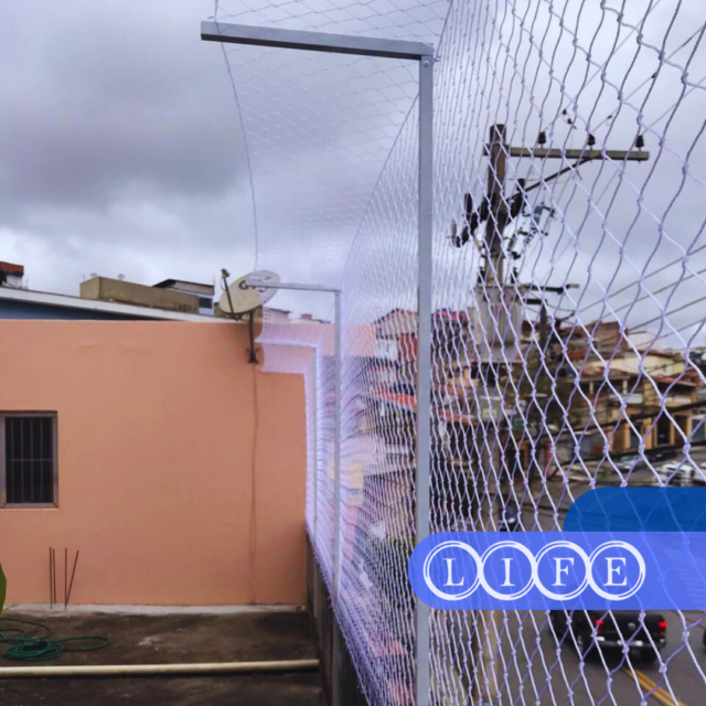 Rede de Proteção em São Miguel