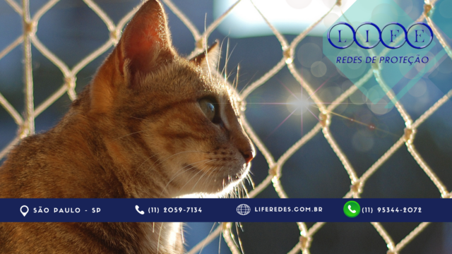 Redes de Proteção no Morumbi Redes de proteção para gatos no Morumbi