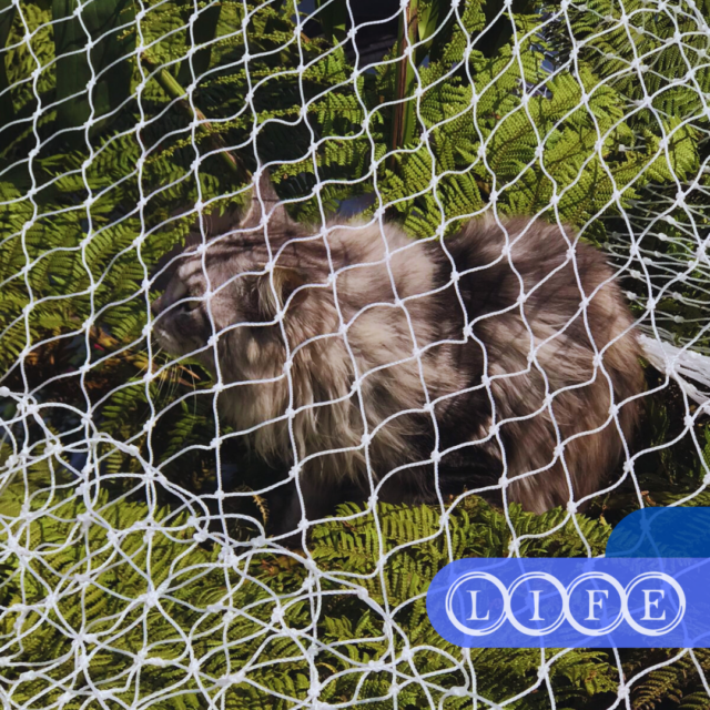 Redes de Proteção na Barra Funda Redes de Proteção na Barra Funda