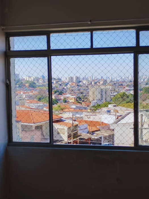 Rede de Proteção para Gatos e Animais Rede de Proteção para Gatos e Animais