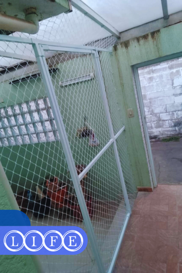 Redes de Proteção em Anália Franco