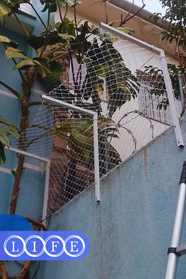  Telas de Proteção em Santa Cecília