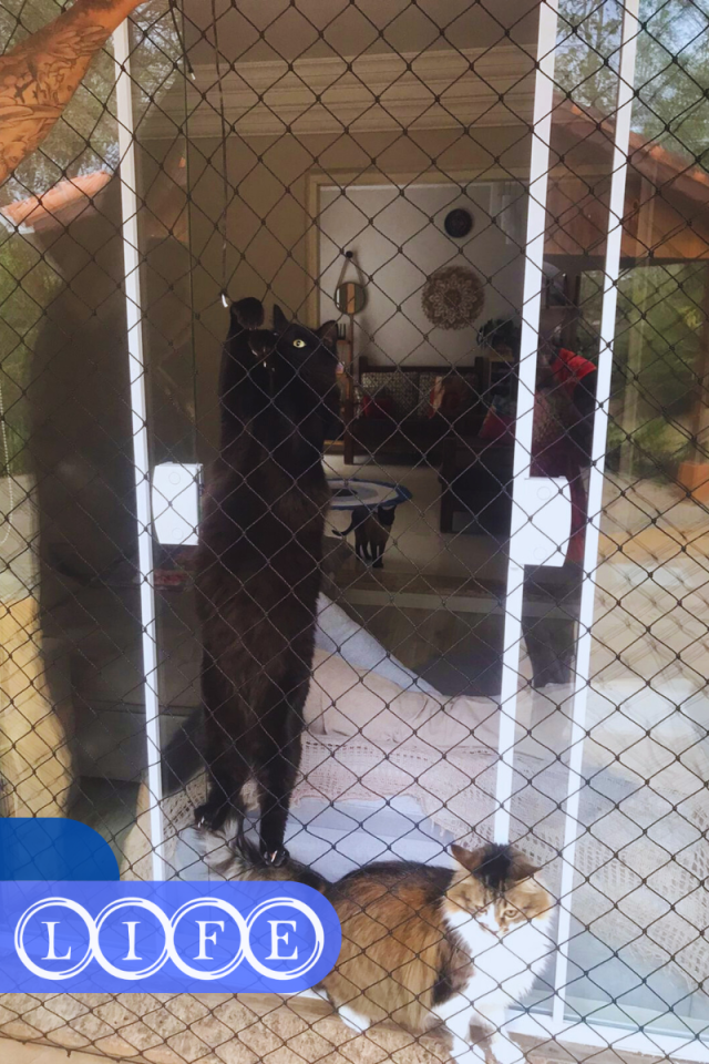 Tela de Proteção no Jardim América